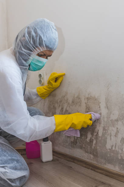 Best Emergency Mold Remediation  in Deltana, AK