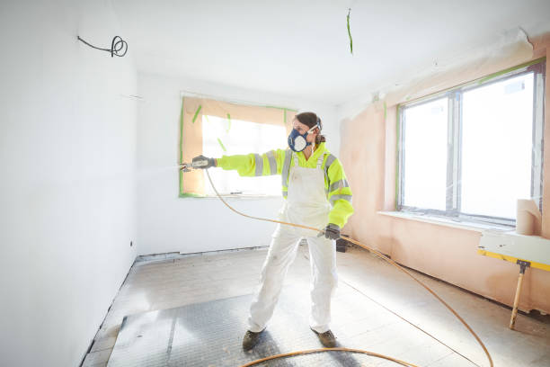 Trusted Deltana, AK Mold Removal Experts