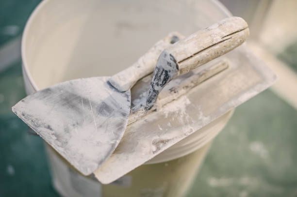 Mold Odor Removal Services in Deltana, AK