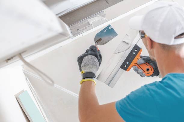 Best Forensic Mold Investigation  in Deltana, AK